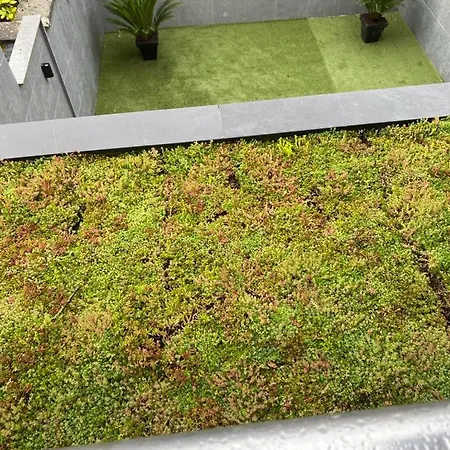 Apartament Ereva Seaside 1 Bedroom Modern Ostenda